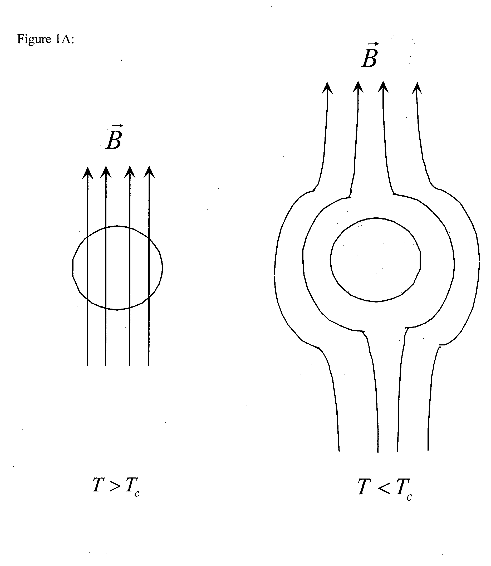 Superconducting radial motor
