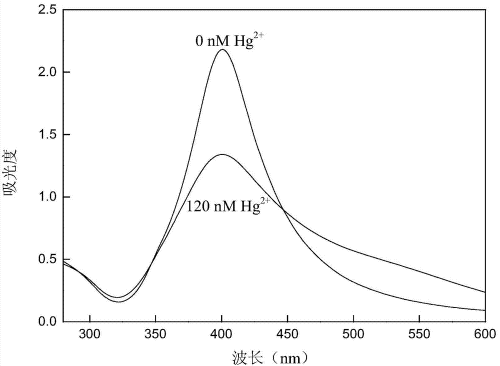 Preparation method and application of nano-silver probe for detecting mercury ions