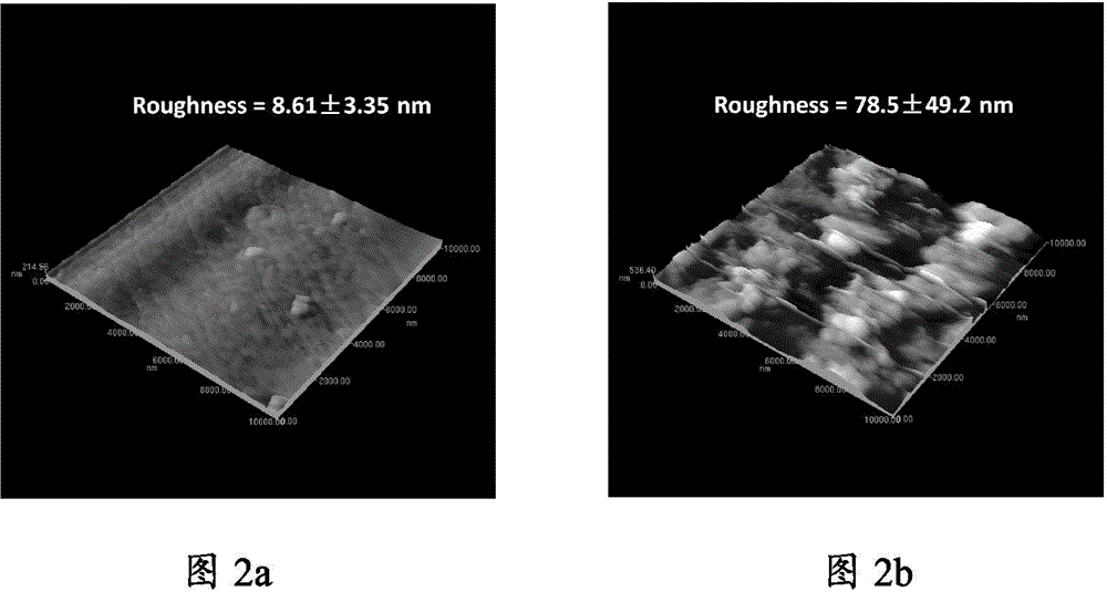 Method for improving various bionic functions on surface of cardiovascular implant material