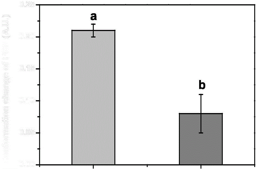 Method for improving various bionic functions on surface of cardiovascular implant material