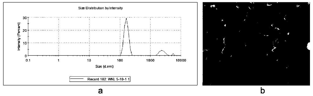 Allicin-entrapped cell microparticle drug delivery system as well as preparation method and application thereof