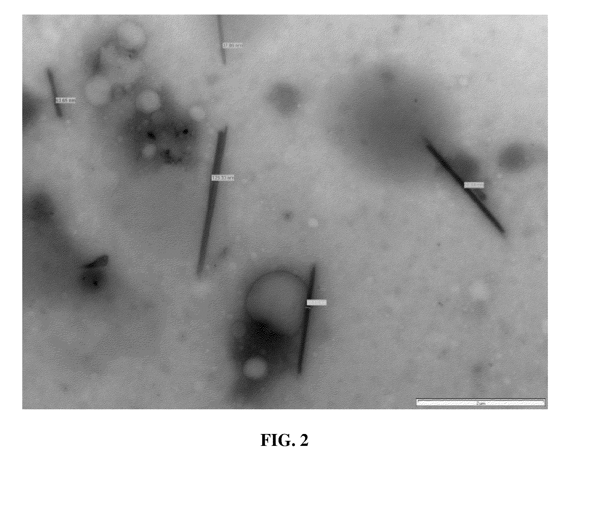 Intra-mammary teat sealant formulation and method of using same to reduce or eliminate visual defects in aged cheeses