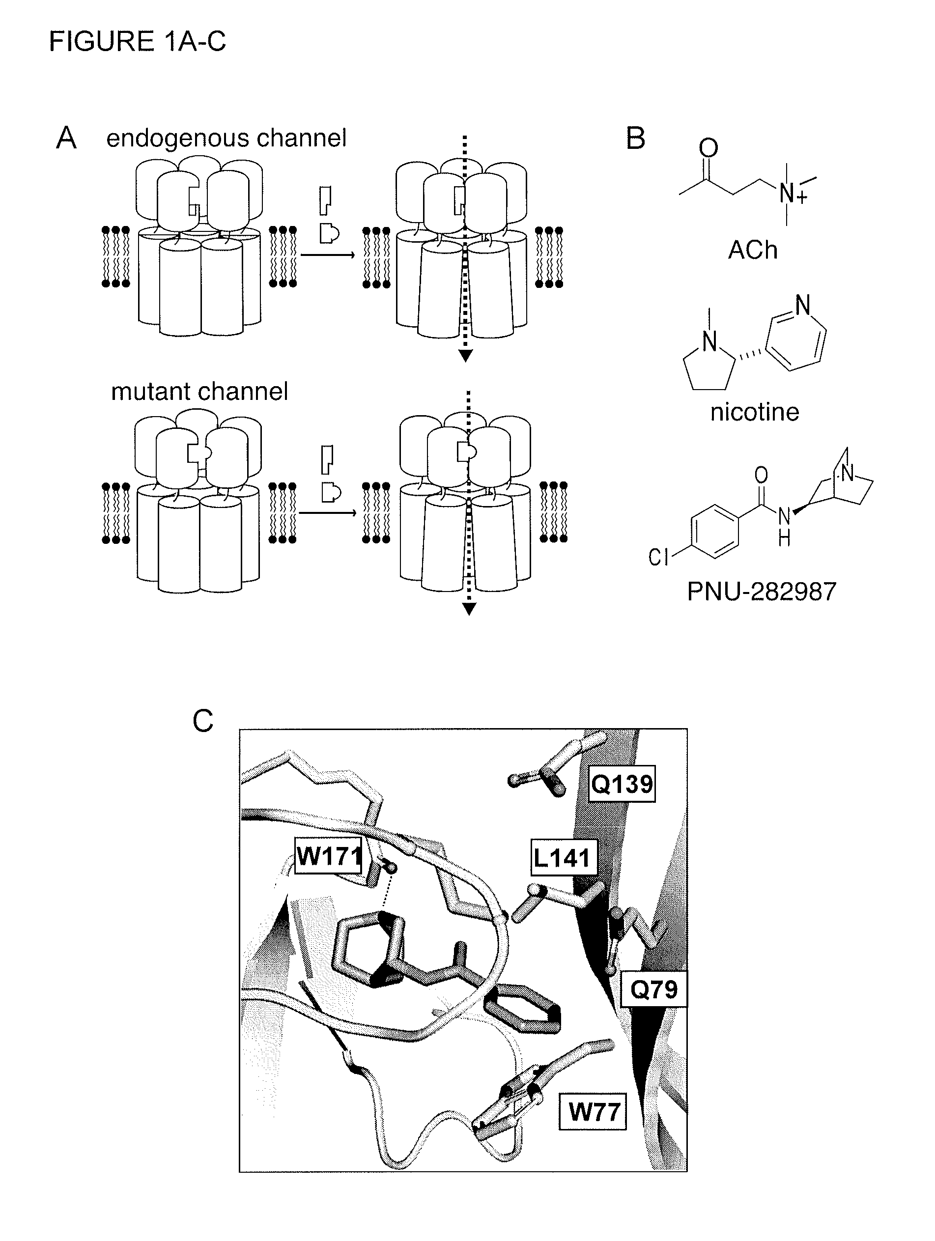Chimeric ligand-gated ion channels and methods of use thereof