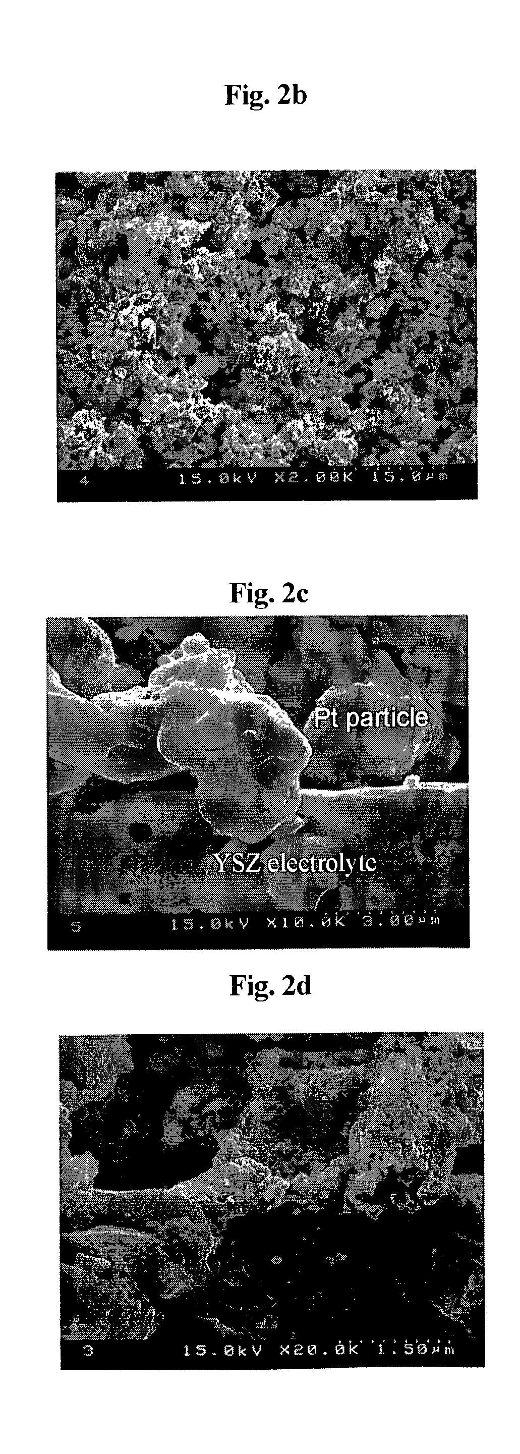 Electrode having microstructure of extended triple phase boundary by porous ion conductive ceria film coating and method to manufacture the said electrode