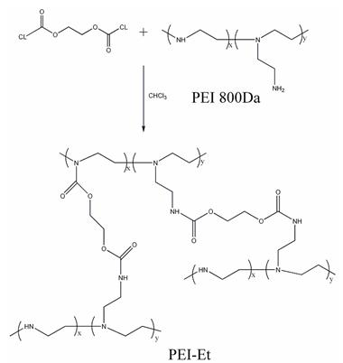 Ammonia ester bond small molecular weight polyethyleneimine (PEI) cross-linked derivatives, and preparation method, application and composition thereof