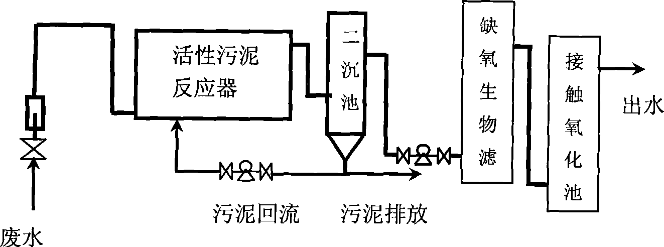 Biological treatment method of coal gas waste water and coking waste water