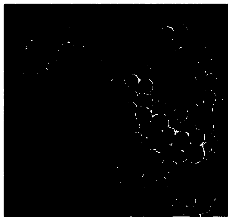 Preparation method of sol for rapidly detecting sulfur ions in environmentally friendly manner and application of sol