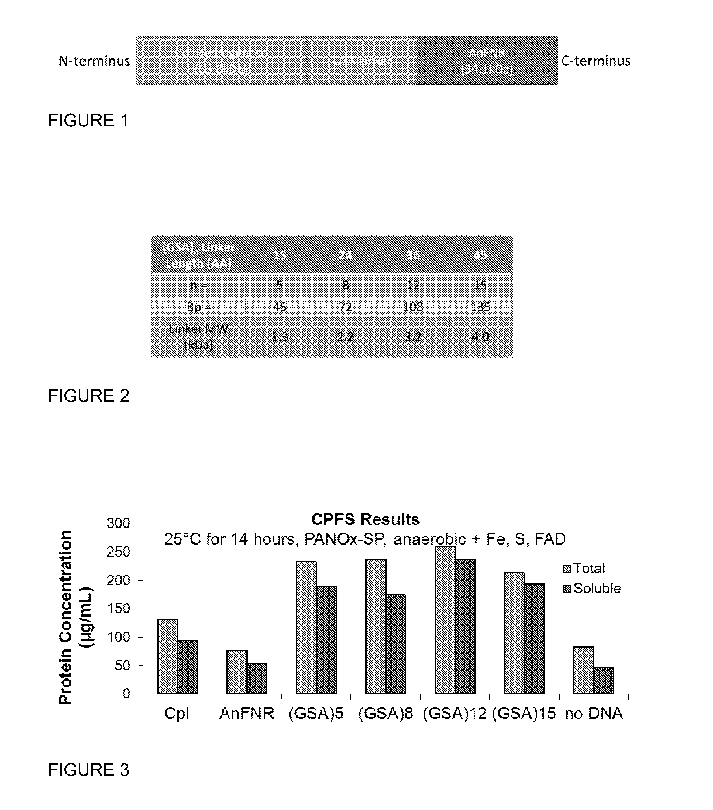 Hydrogenase Fusion Protein for Improved Hydrogen Production