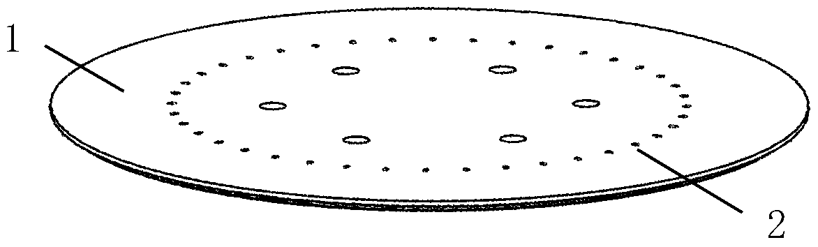 A device for preventing wafer back contamination