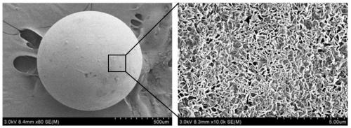 A method for deep removal of heavy metals in water by resin-based copper phosphate nanoflower coating