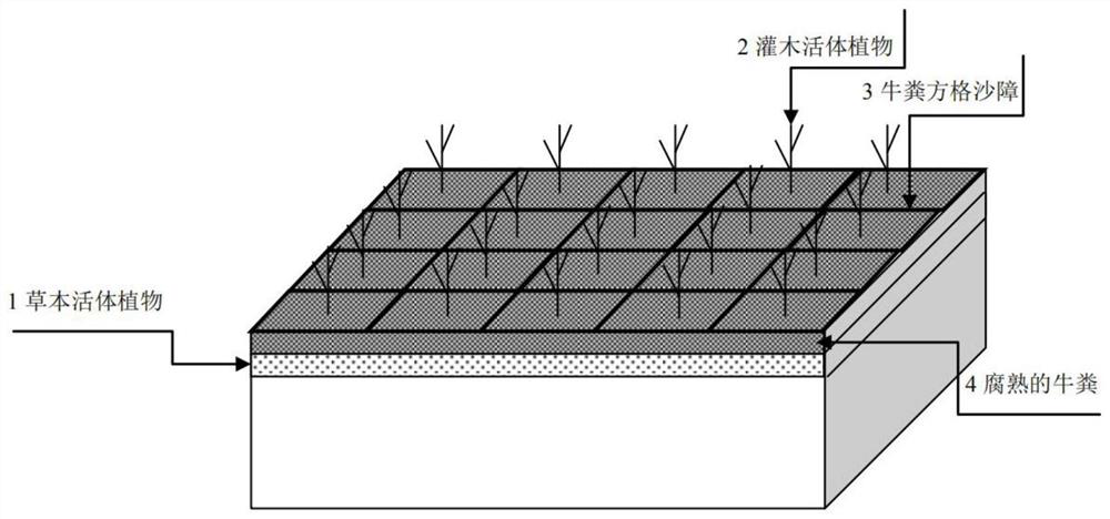 Cow dung sand barrier and preparation method and application thereof