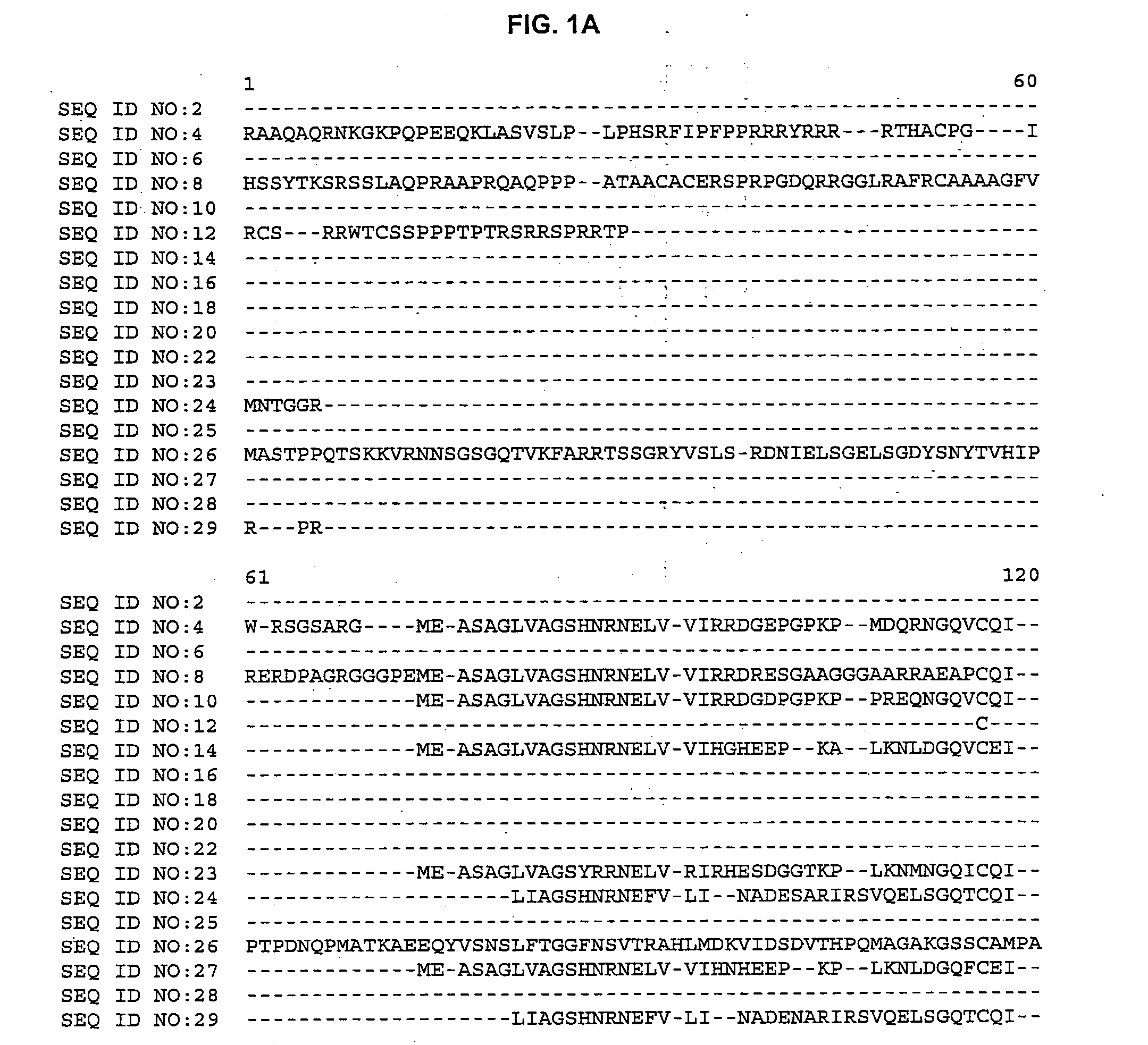 Plant cellulose synthases