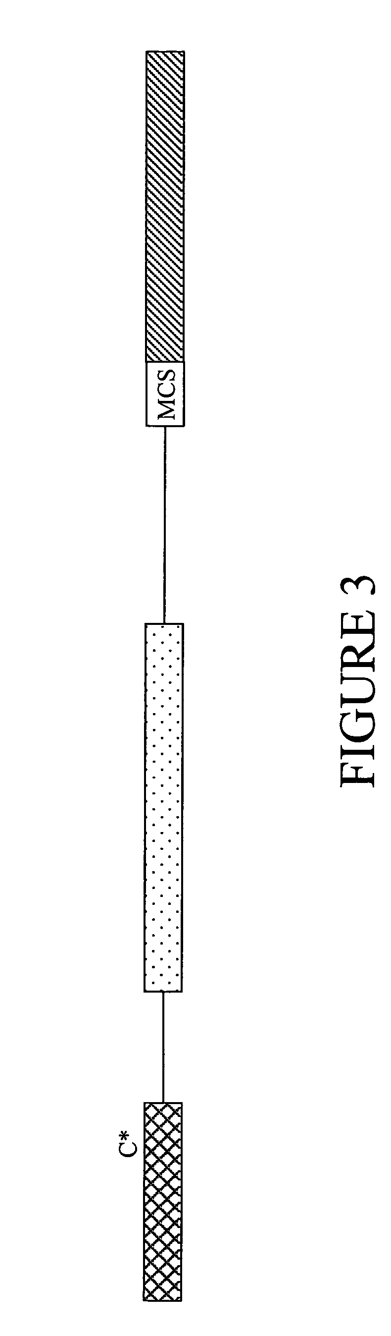 Chitin degradative systems