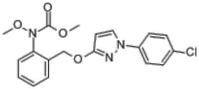 Sterilization composition containing pyraclostrobin and efficient metalaxyl-M