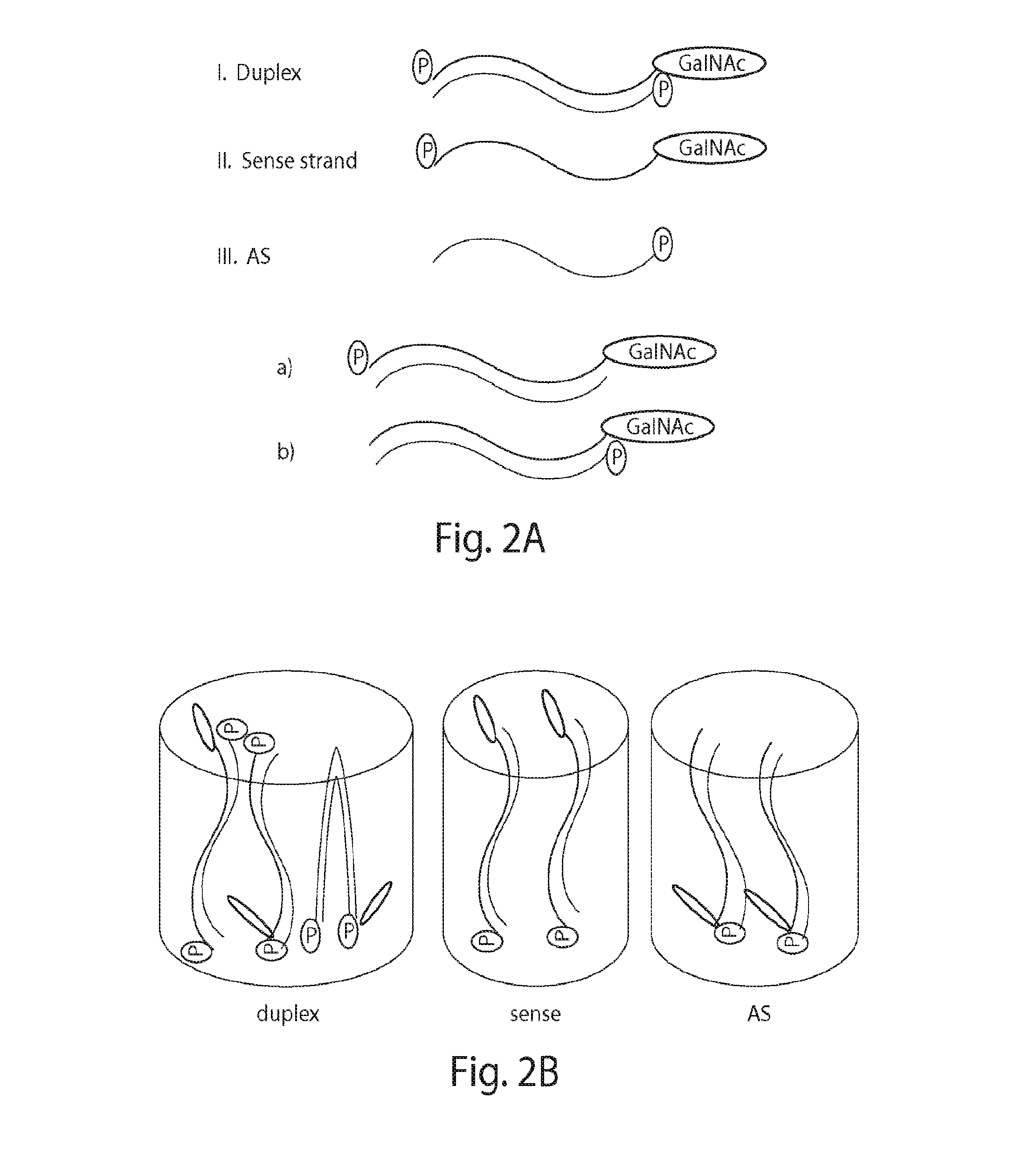 Methods and compositions for detecting Anti-drug antibodies