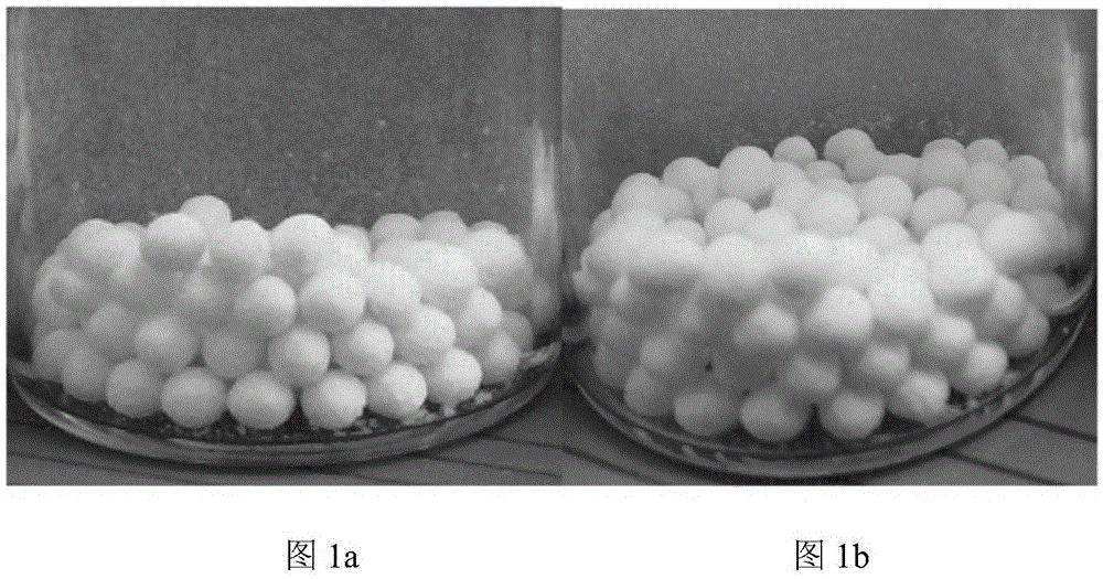 Freeze-dried microspheres of concentrated carbon dioxide binding capacity detection reagent and preparation method thereof