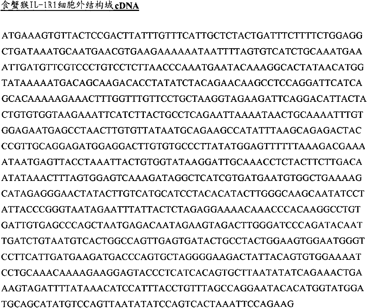 anti-IL-1r1 binding member