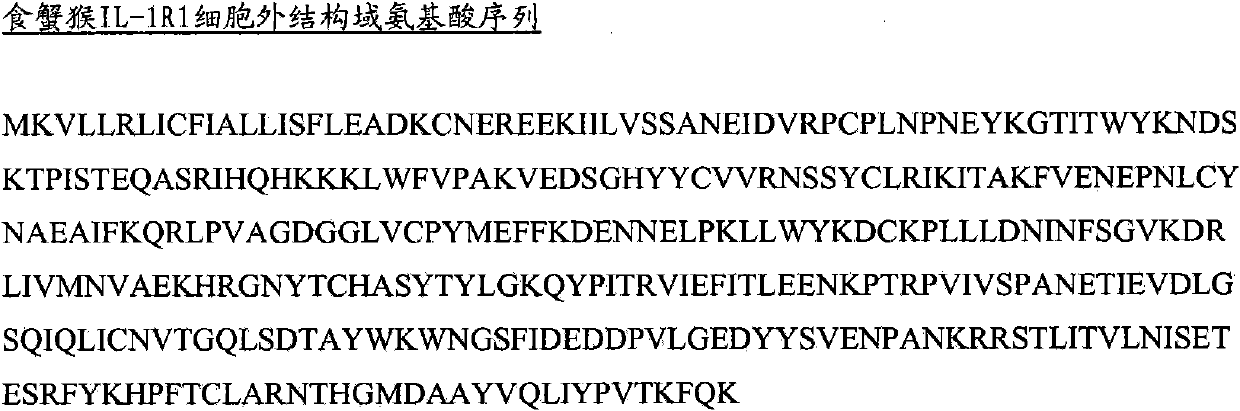 anti-IL-1r1 binding member