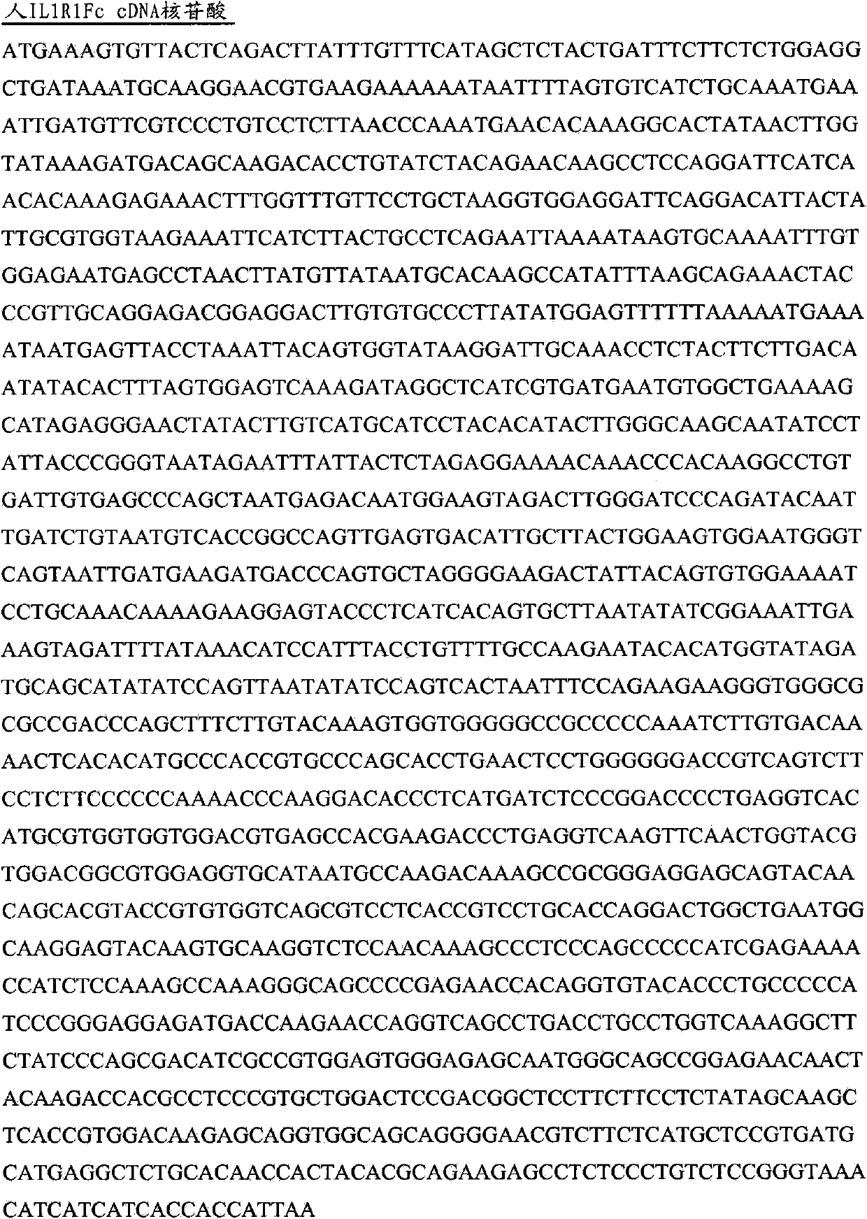 anti-IL-1r1 binding member