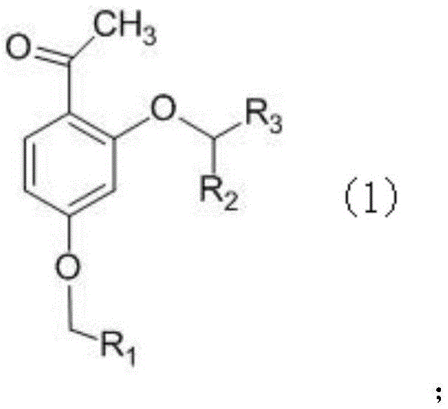 Phenoxyphenylacetic acid endothelin antagonist and its preparation method and application