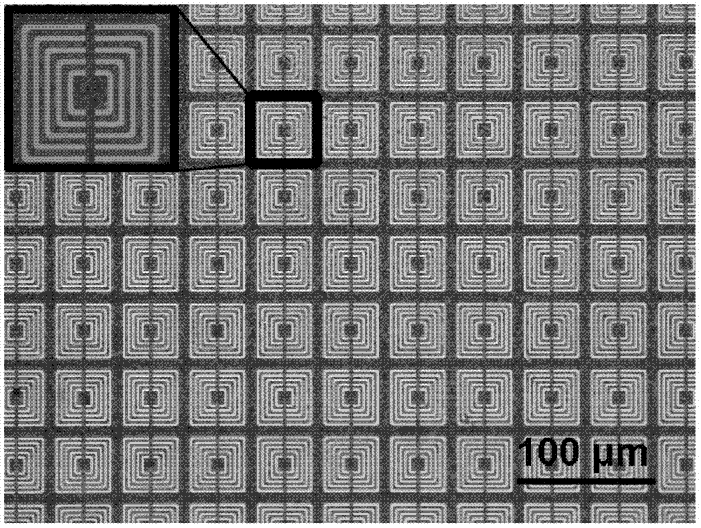 Rolling circle amplification-terahertz metamaterial biosensor for parallel detection of multiple pathogenic bacteria and its detection method