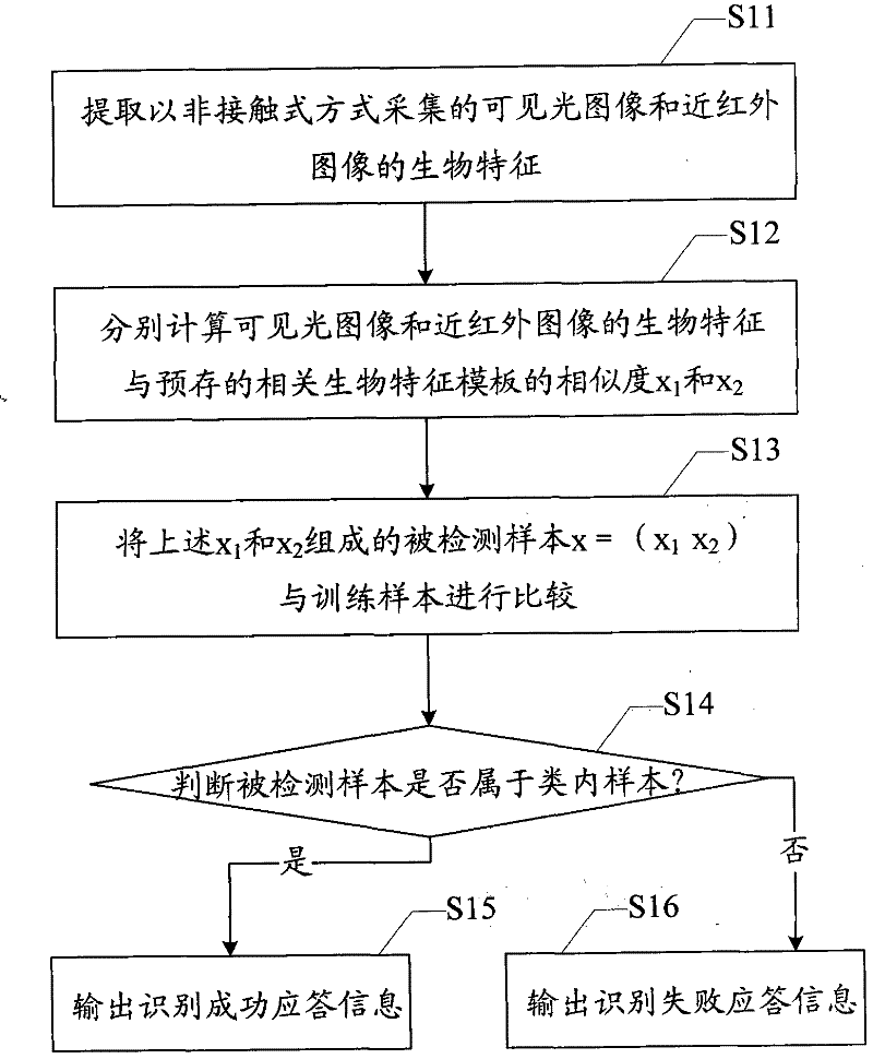 Non-contact biometric feature identification method and system