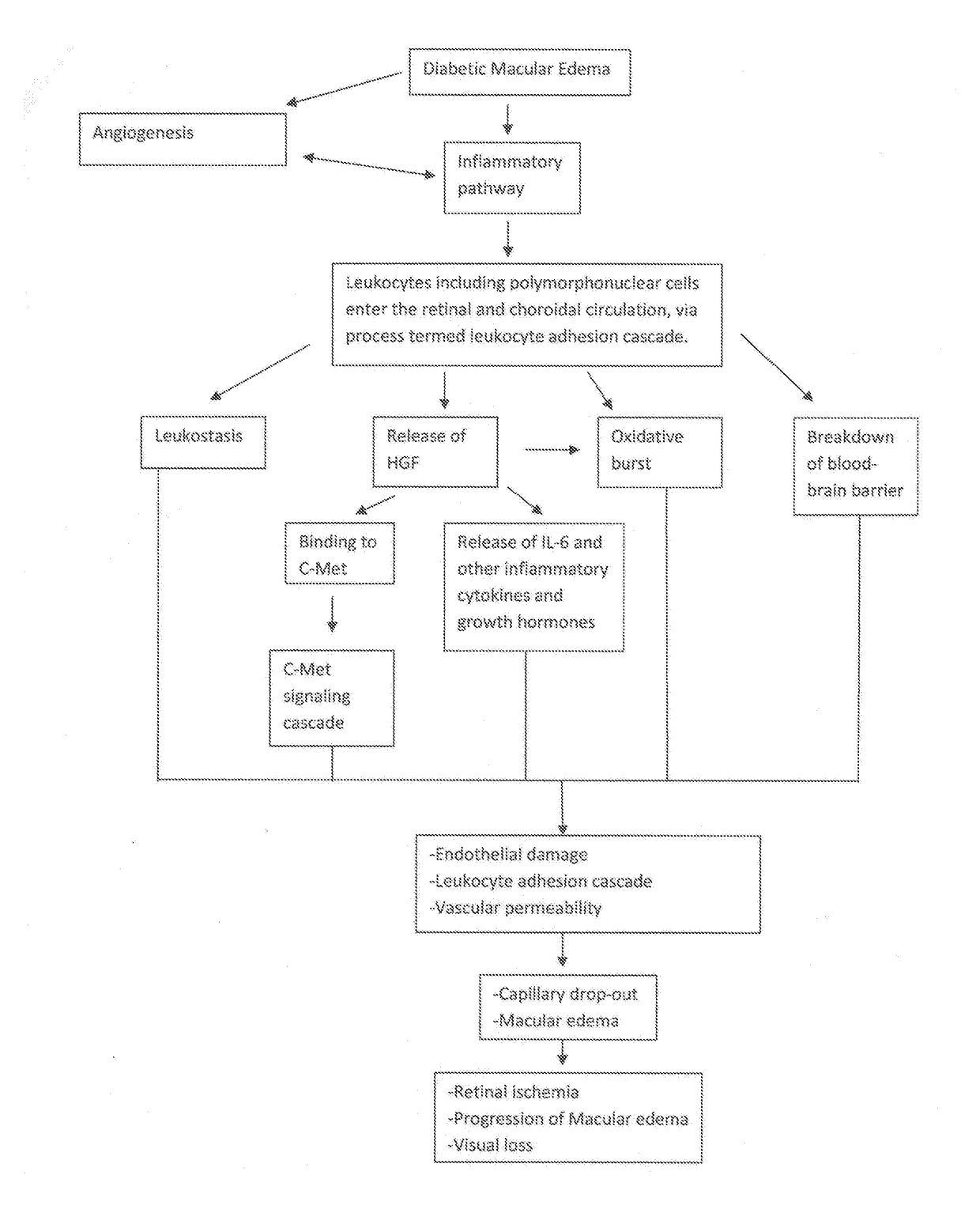 Method of Preventing and Treating Retinal Microvasculature Inflammation Using C-Met Signaling Pathway Inhibition