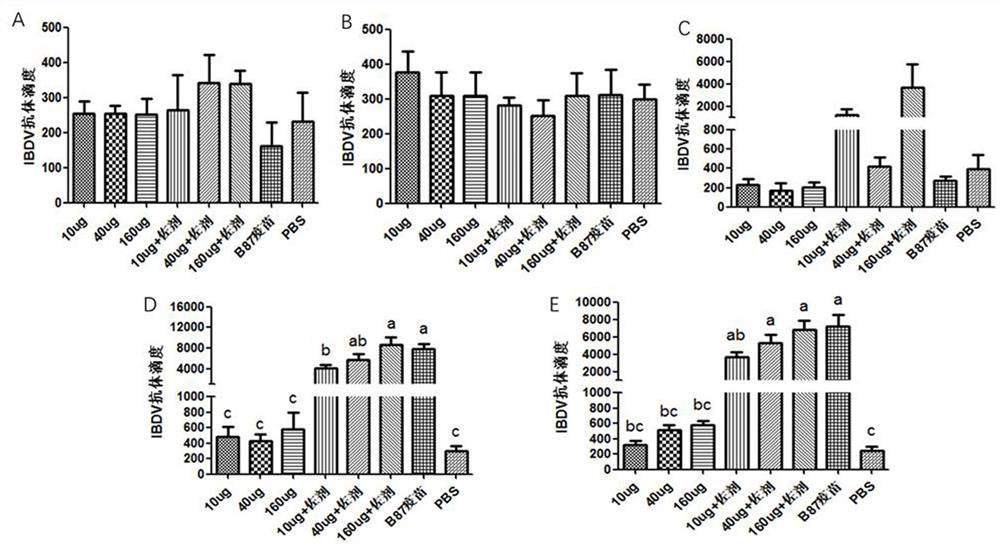 Infectious bursal disease virus VP2 protein as well as encoding gene and application thereof