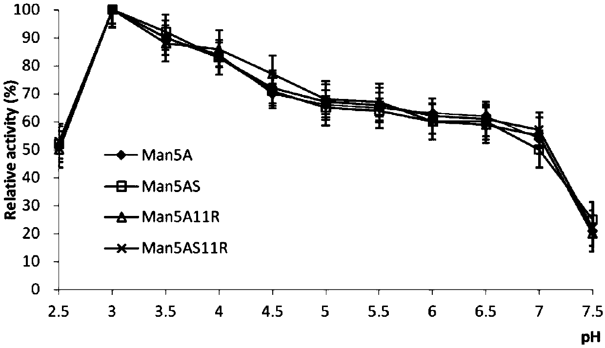 Beta-mannase mutant Man5AS11R with improved heat resistance and specific activity and encoding gene thereof