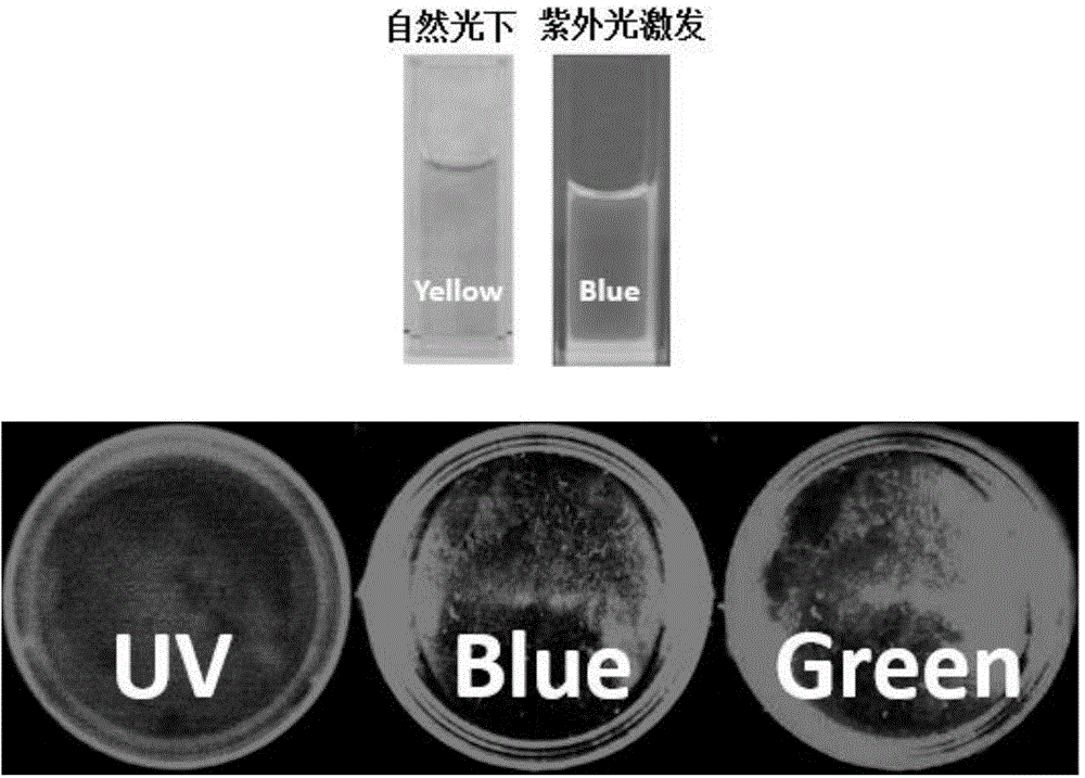 Preparation method of carbon quantum dot and application thereof