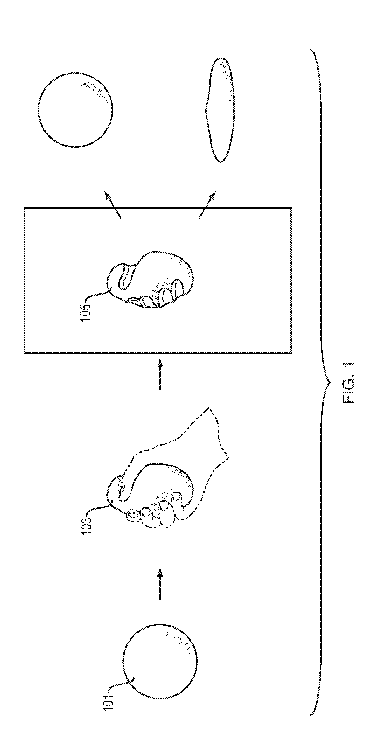 Methods and Apparatus for Jammable HCI Interfaces