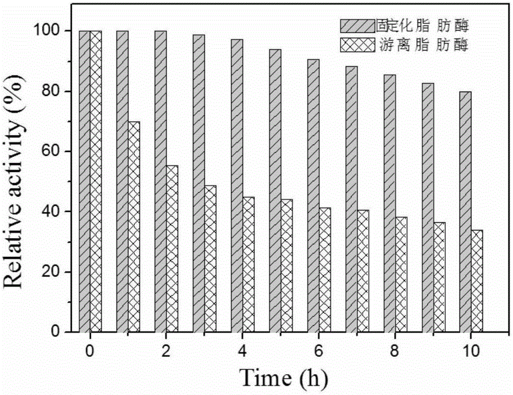 Preparation method of magnetic immobilized lipase capable of being used in organic media