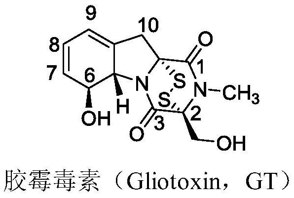 Gliotoxin 6-aromatic ring carboxylate series derivatives and preparation method thereof