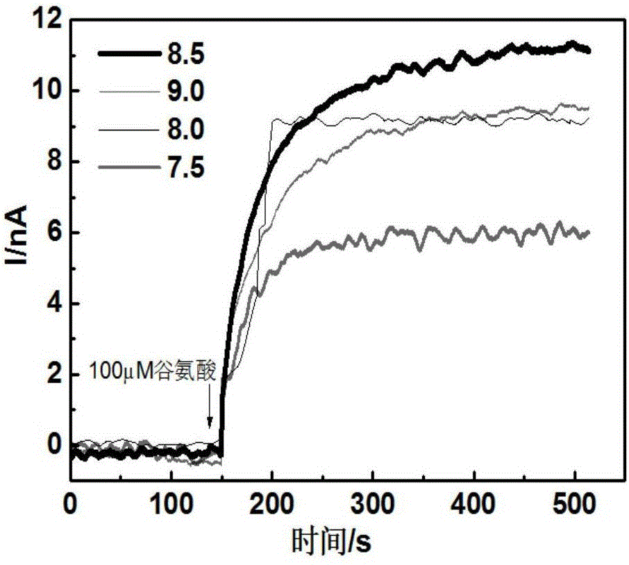 Dehydrogenase electrode and application thereof