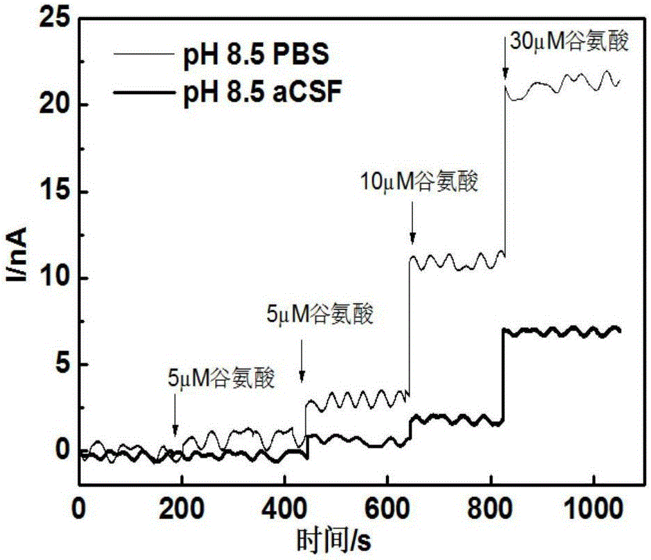 Dehydrogenase electrode and application thereof