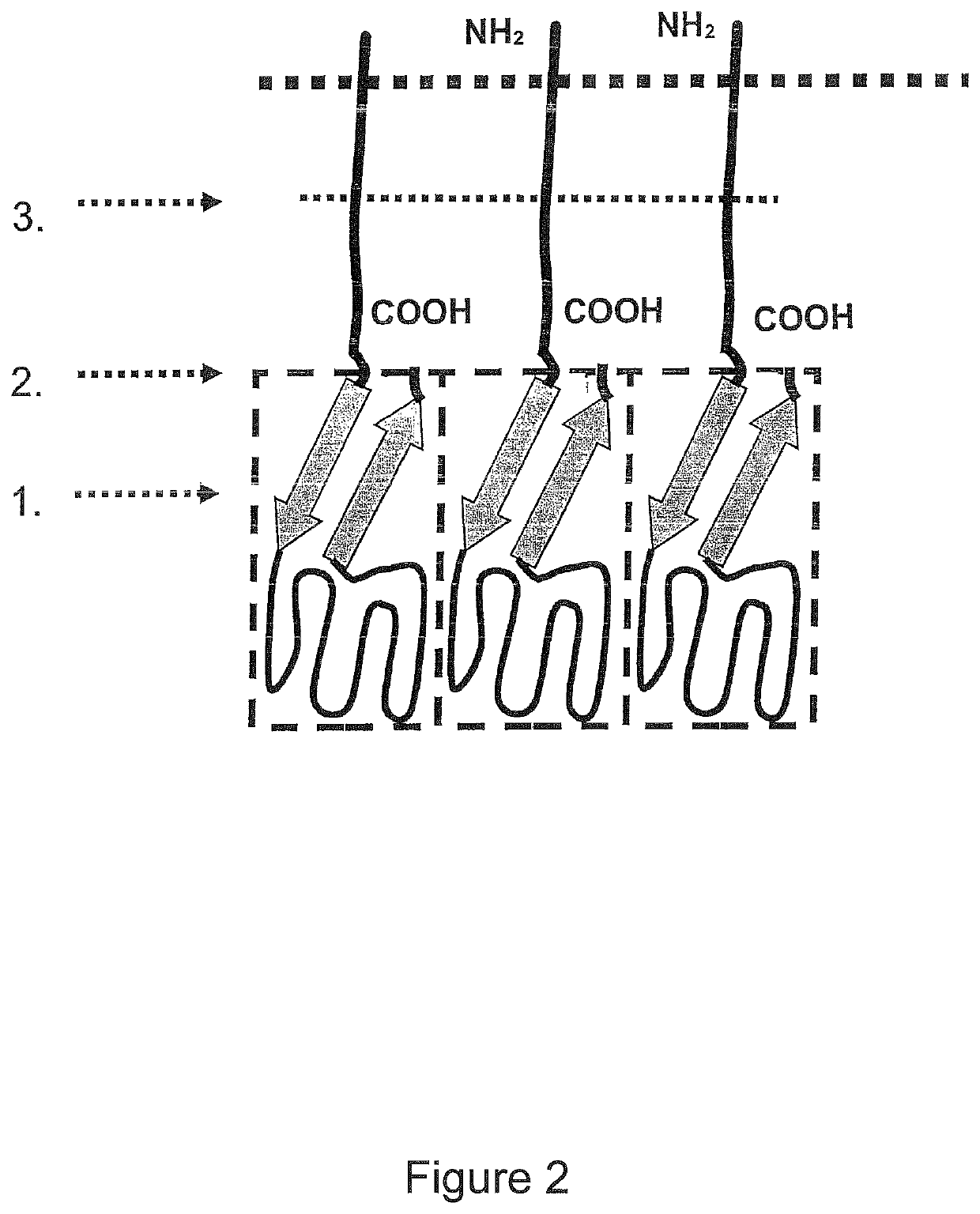 Single-chain CD40-receptor agonist proteins