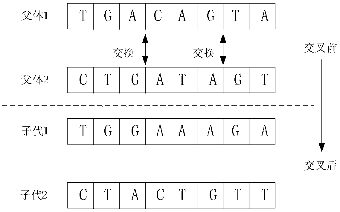 Constant modulus blind equalization processing method based on optimization of DNA shuffled frog leaping algorithm in communication system