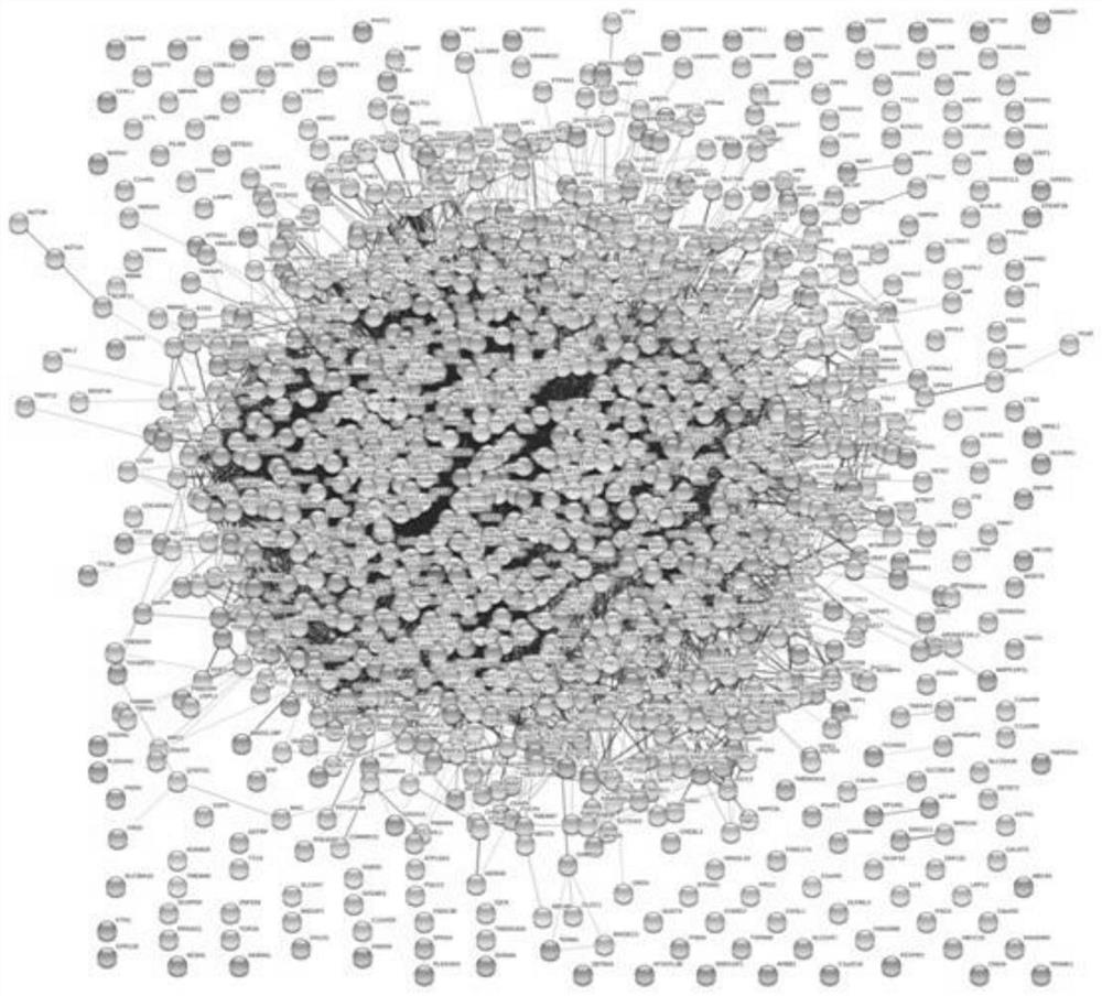 A retargeting drug discovery method based on the integration of multiple transcriptome datasets and drug target information