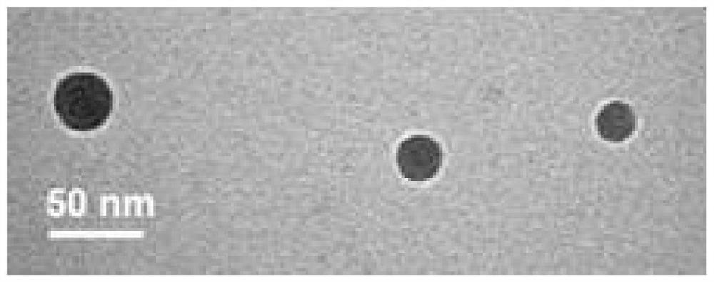 Calcium-containing micro-precipitation lipidosome entrapped with photothermal agent and chemotherapeutic drug as well as preparation method and application of calcium-containing micro-precipitation lipidosome