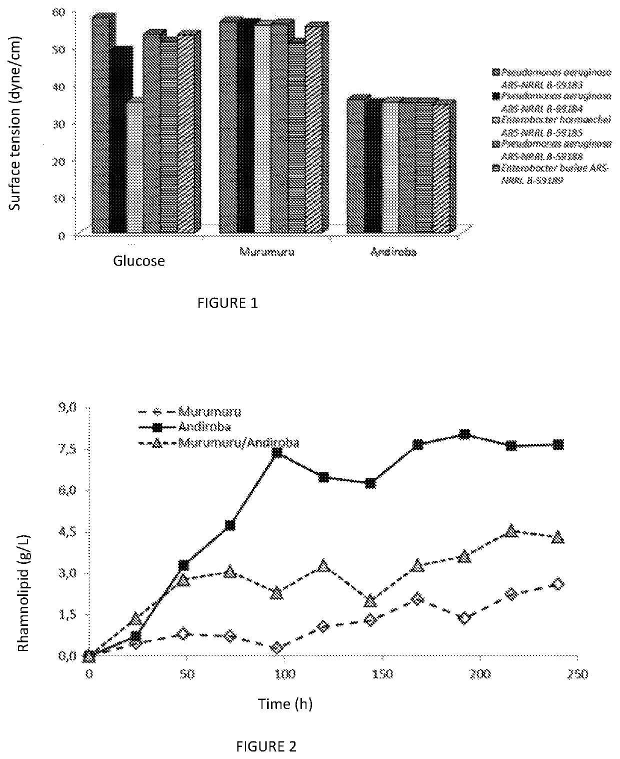 Process for producing a rhamnolipid produced by <i>Pseudomonas </i>or <i>Enterobacter </i>using andiroba or murumuru seed waste