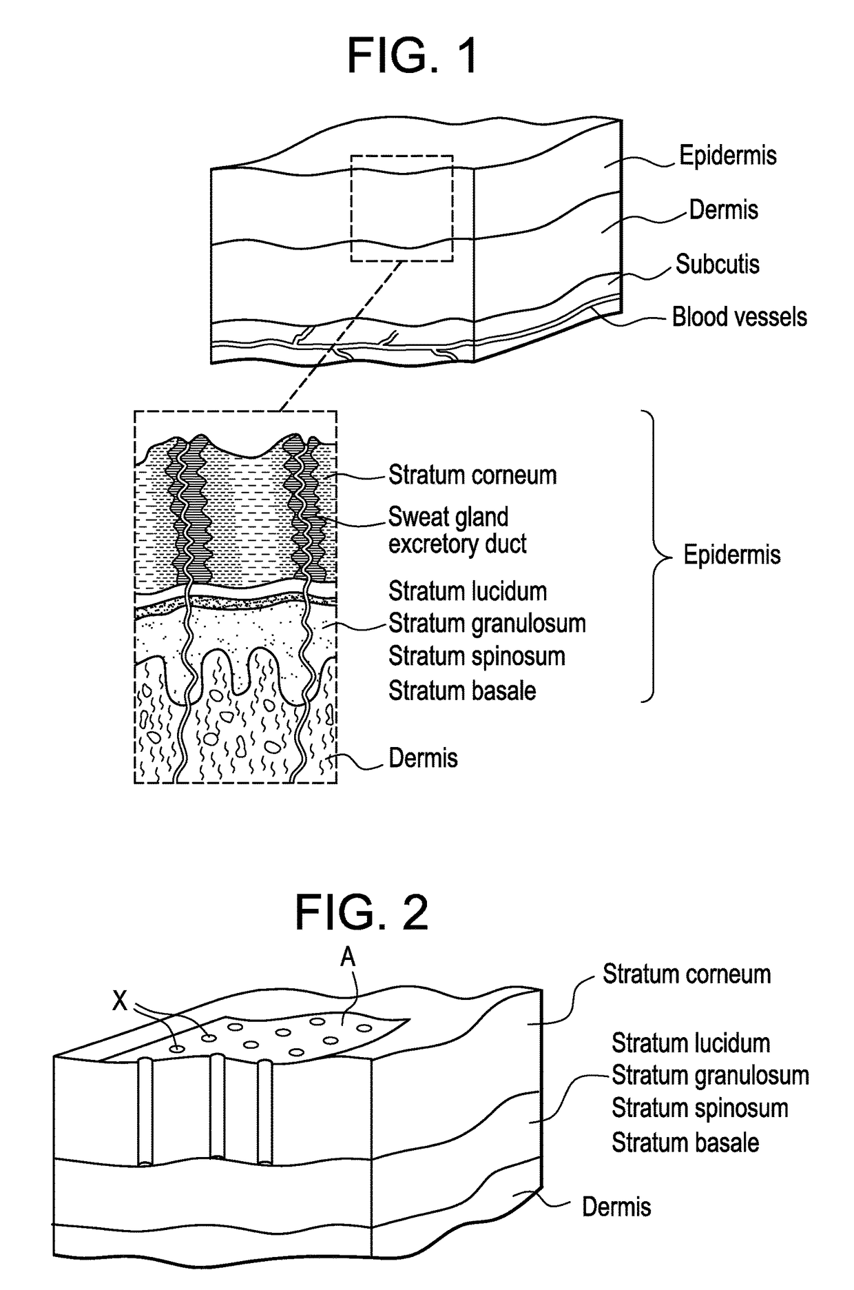 Transdermal therapeutic system for the administration of peptides