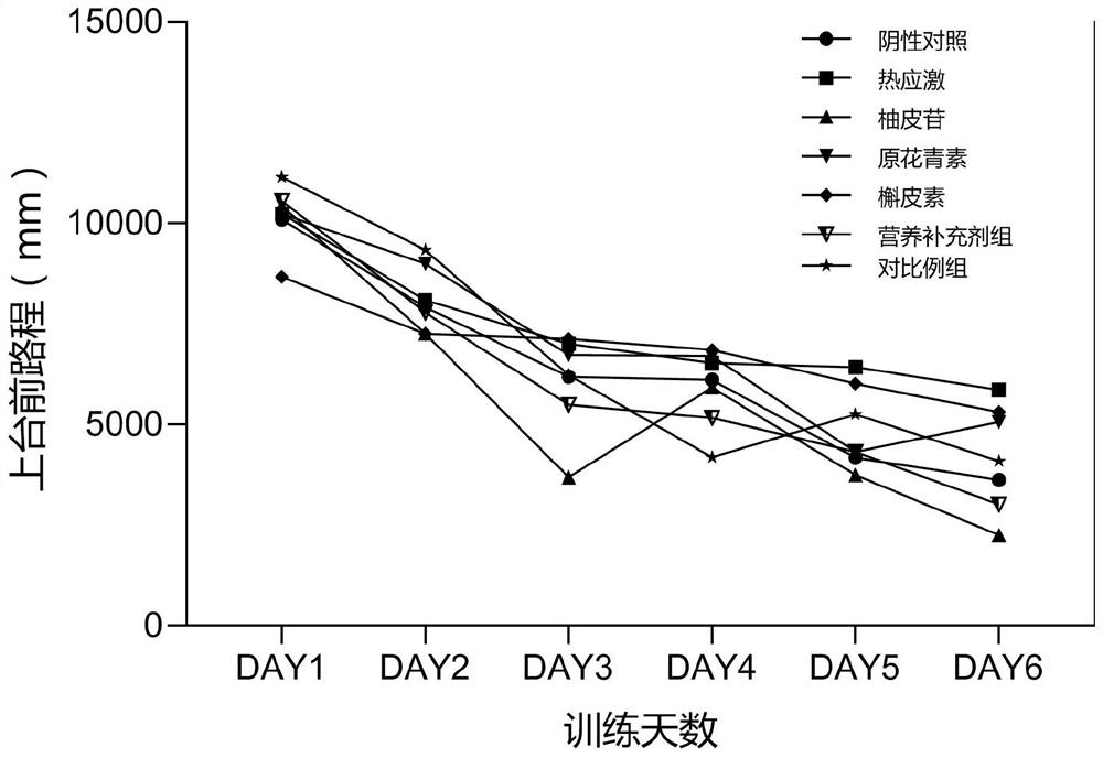 Nutritional supplement for improving brain work ability in high-temperature environment