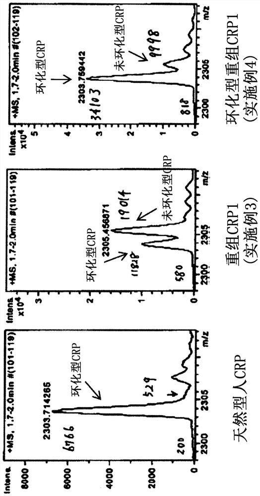 Recombinant C-reactive proteins