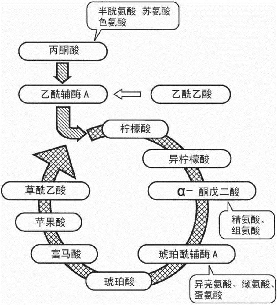 Culture liquid for animal cells, and culture vessel