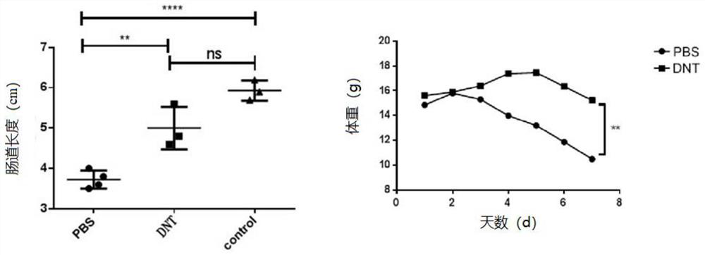 Medications Used to Treat Inflammatory Bowel Disease