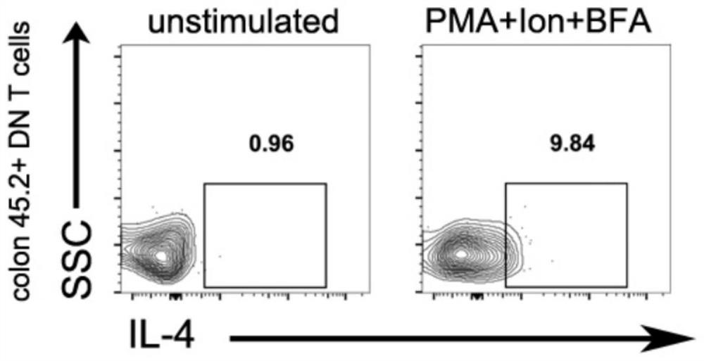 Medications Used to Treat Inflammatory Bowel Disease