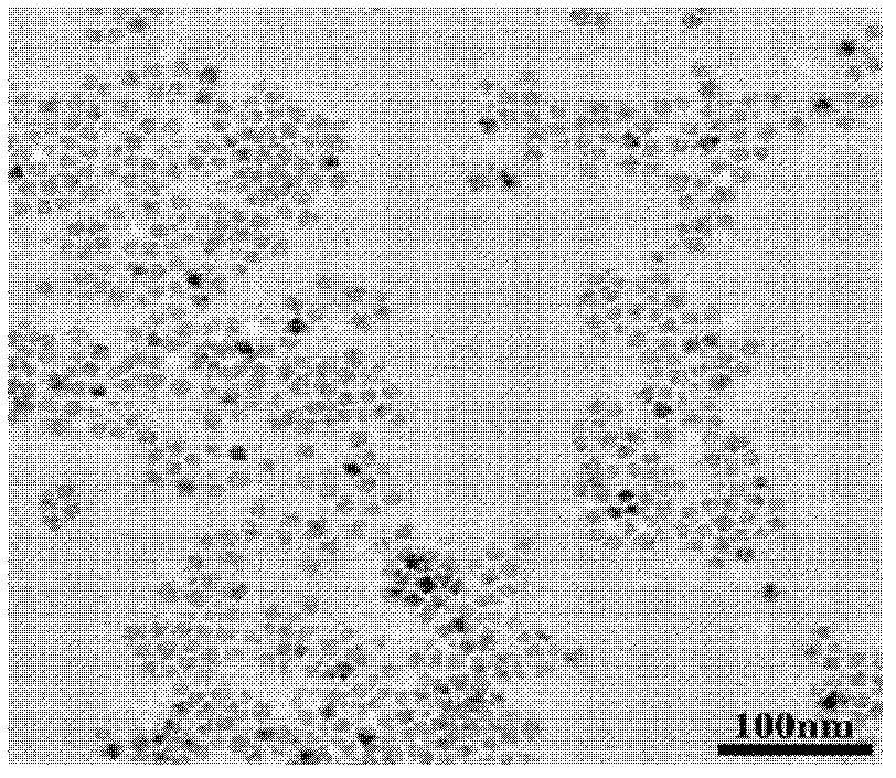 Immunofluorescence detection method for detection of enrofloxacin based on quantum dots and special kit thereof