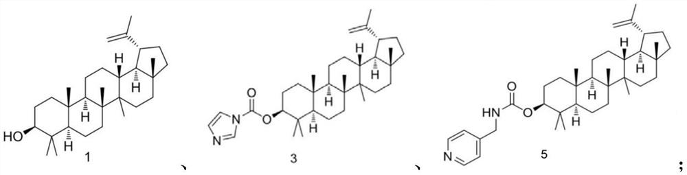 Lupeol pyridine quaternary ammonium salt derivative, preparation method and application thereof