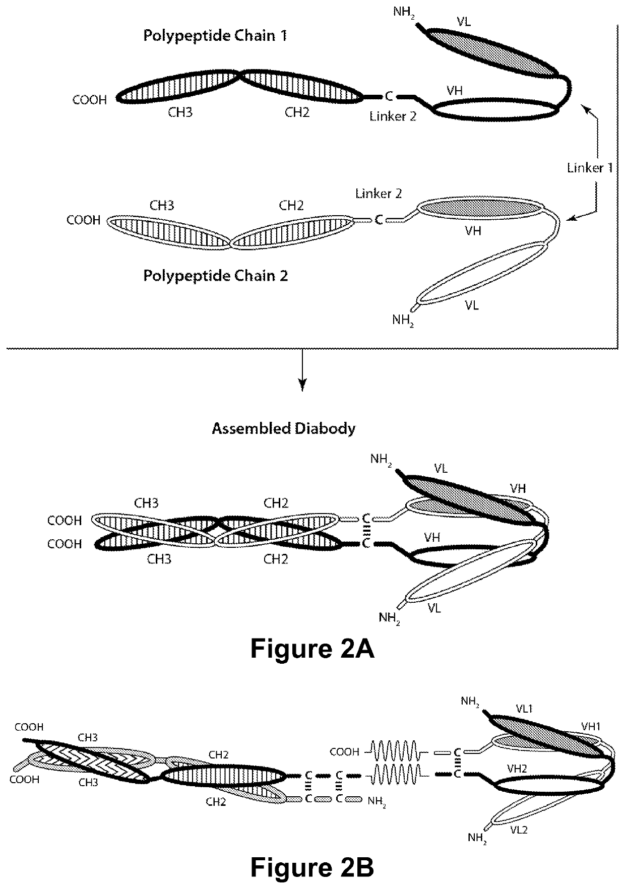 Multi-chain polypeptide-containing tri-specific binding molecules that specifically bind to multiple cancer antigens