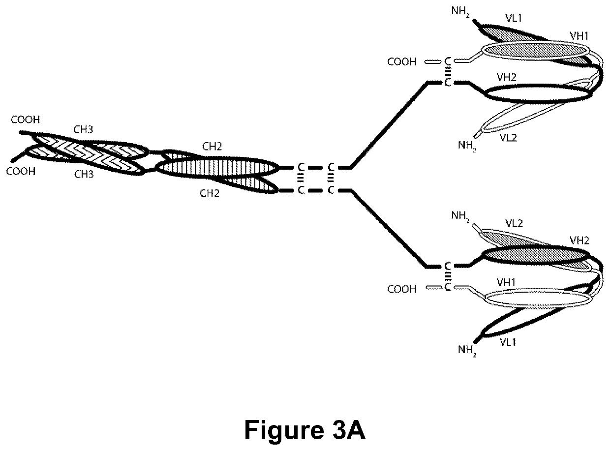 Multi-chain polypeptide-containing tri-specific binding molecules that specifically bind to multiple cancer antigens